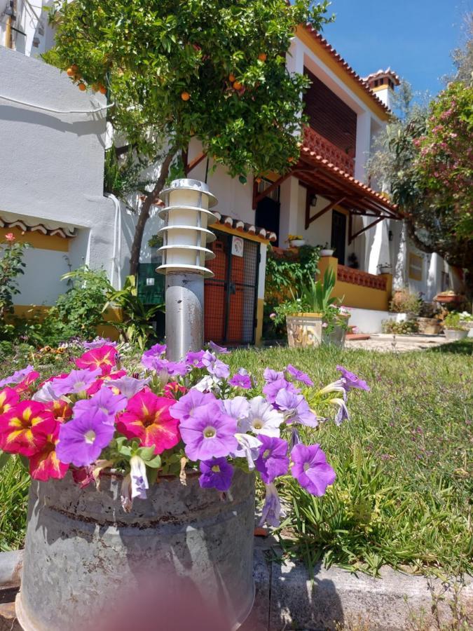 A Tejada Villa Ortiga Екстериор снимка